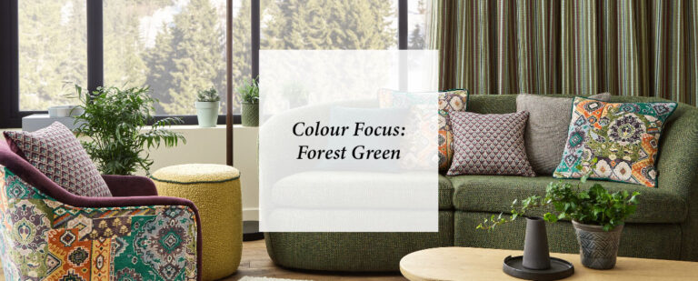 Colour Focus: Forest Green  thumbnail